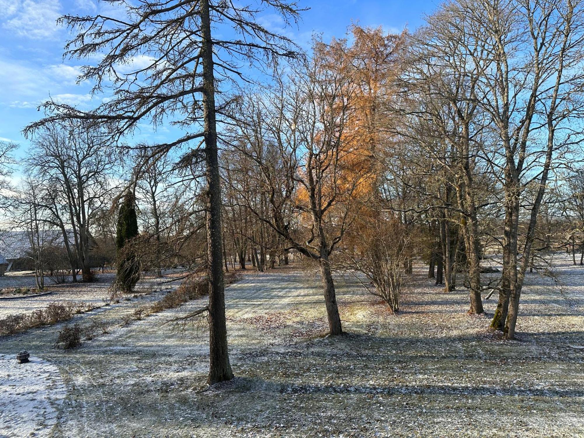 Kernu Manor Hotel Bagian luar foto